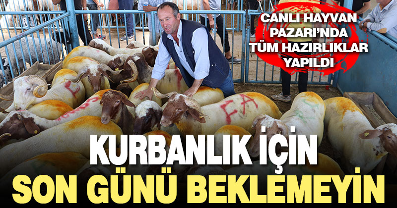 Kurbanlık için son günü beklemeyin