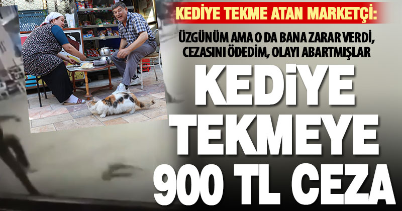 Denizli’de sokak kedisini tekmeleyen kişiye 900 lira ceza kesildi
