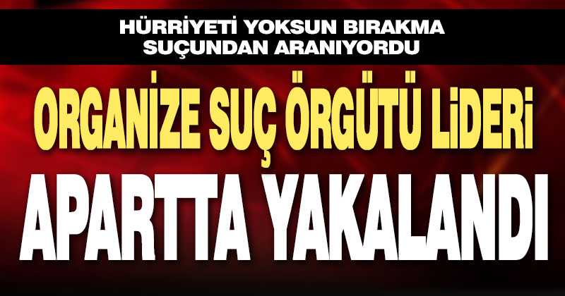 Organize suç örgütü lideri yakalandı