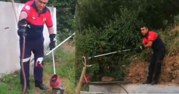 Bahçedeki yılan panik yarattı