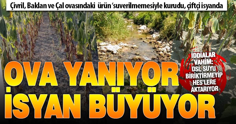 Çivril, Çal ve Baklan ovalarındaki su krizi çiftçiyi isyan ettirdi