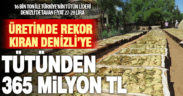 Üretimin lideri Denizli, tütünden 365 milyon TL gelir bekliyor