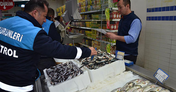 Tarımdan su ürünlerine yönelik denetim