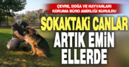 Çevre, Doğa ve Hayvanları Koruma Büro Amirliği kuruldu