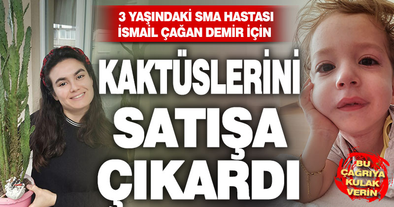 3 yaşındaki SMA hastası İsmail Çağan için kaktüslerini satışa çıkardı