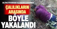 Suç örgütü kurma suçlamasıyla aranan zanlı, çalılıkların arasında yakalandı