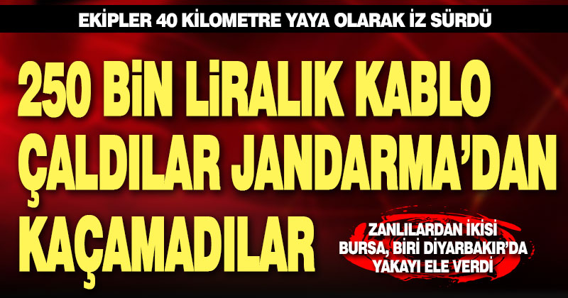 250 bin liralık kablo çaldılar, jandarmadan kaçamadılar