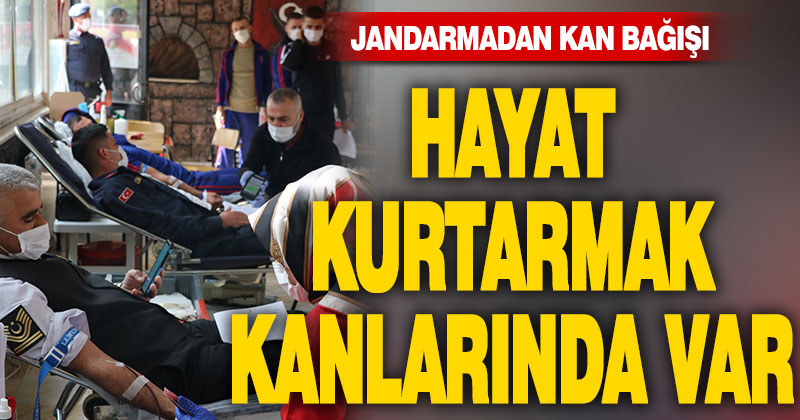 Jandarmadan kan bağışı