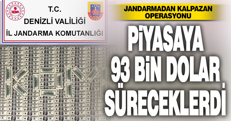 Jandarma piyasaya sahte 93 bin dolar sürmeye hazırlanan 3 kalpazanı yakaladı