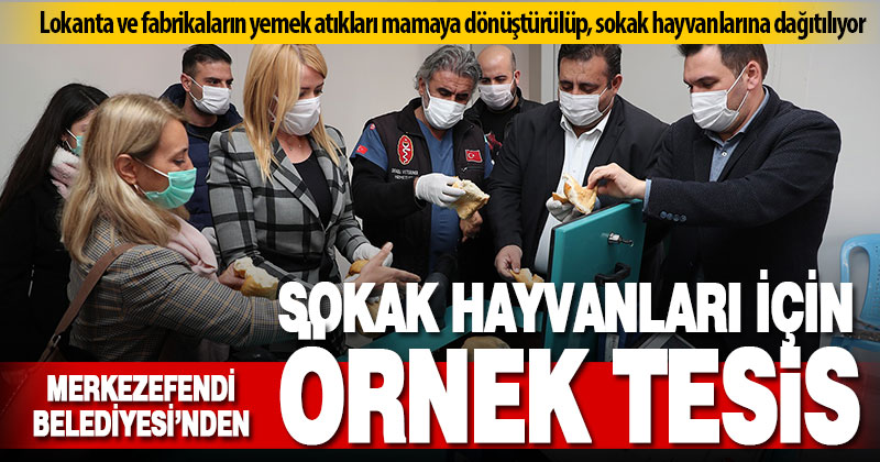 Merkezefendi Belediyesi, yemek atıklarını hayvan mamasına dönüştüren tesis kurdu