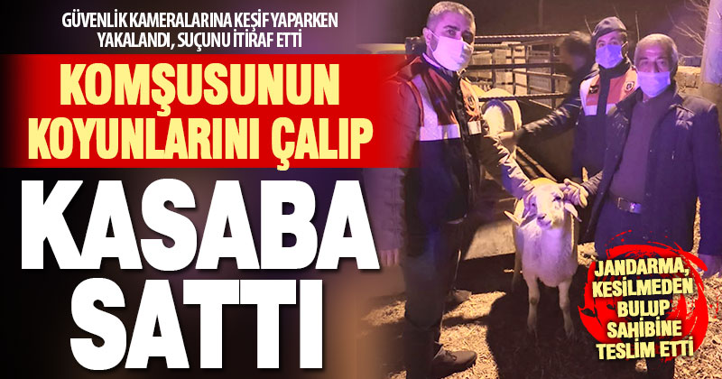 Komşusunun koyunlarını çalıp kasaba satan hırsız tutuklandı