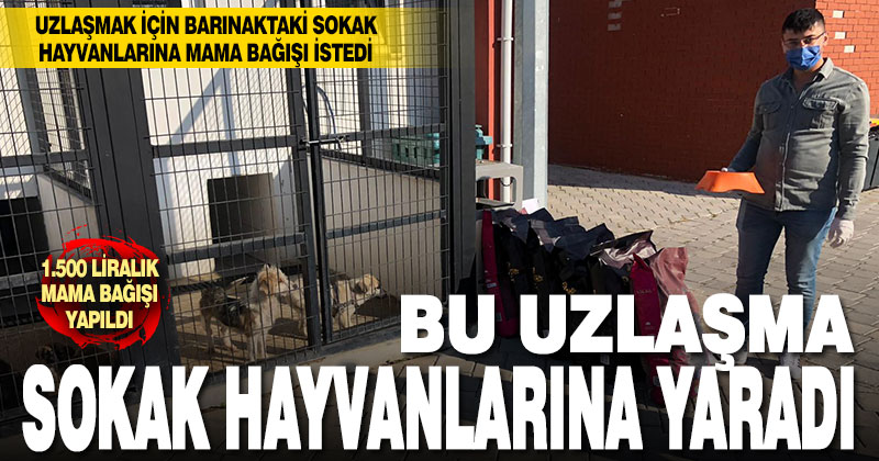 Bu uzlaşma barınaktaki sokak hayvanlarına yaradı
