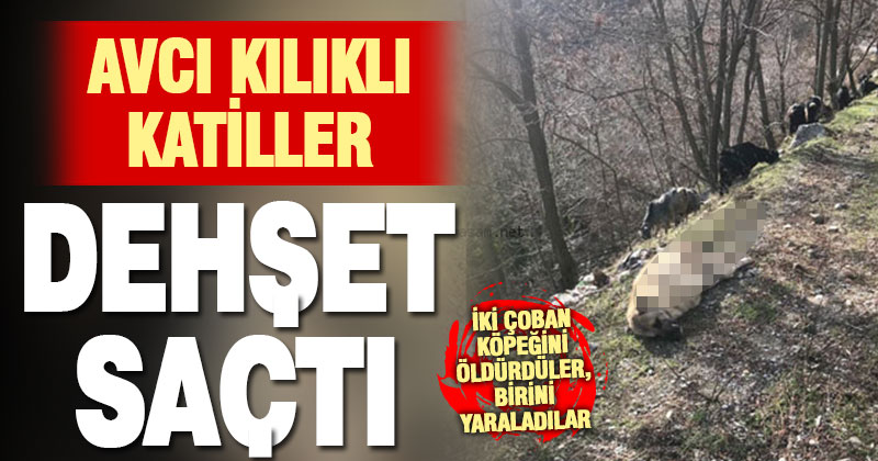 Buldan’da avcı dehşeti