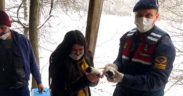 Mahsur kalan köpekleri jandarma kurtardı