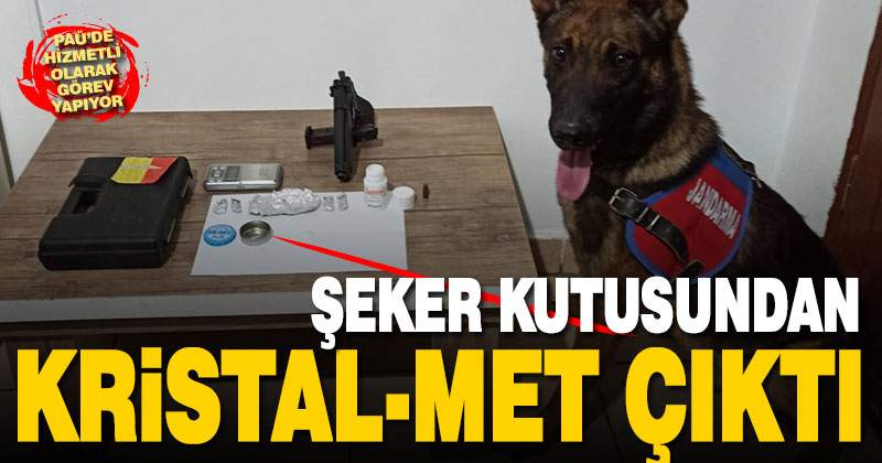Şeker kutusunda uyuşturucu ele geçirildi