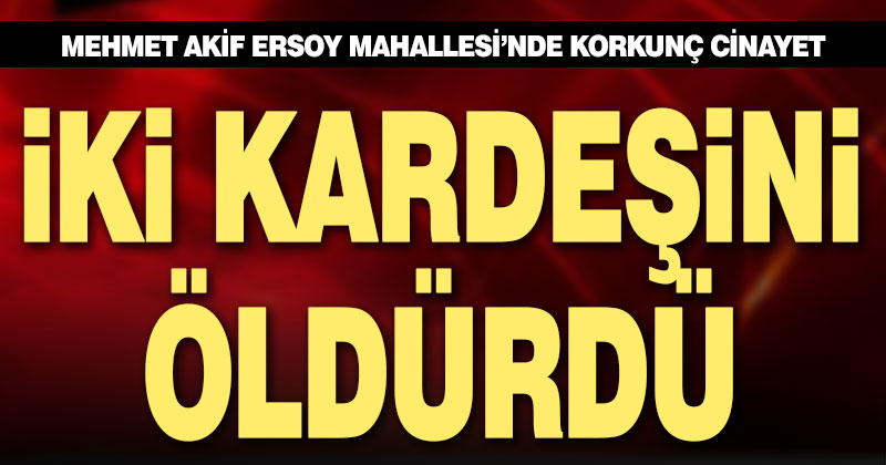 İki kardeşini tabancayla öldürdü