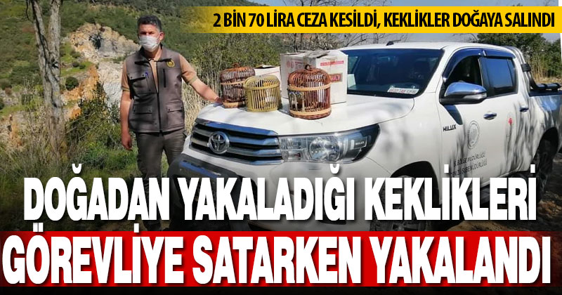 Kaçak avladığı 8 kekliği görevlilere satmaya çalışan kişiye para cezası