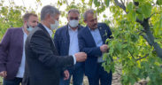 Milletvekili Tin, doludan zarar gören arazileri inceledi