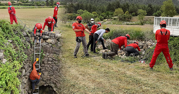 Su kuyusuna düşen çakalları AKUT kurtardı