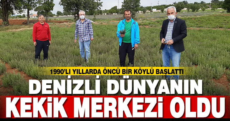 Öncü bir köylü başlattı, Denizli dünyanın kekik merkezi oldu