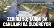 Çaresiz kalan çiftçi, fabrika atıklarını sulama kanallarına boşaltıp ürün suluyor