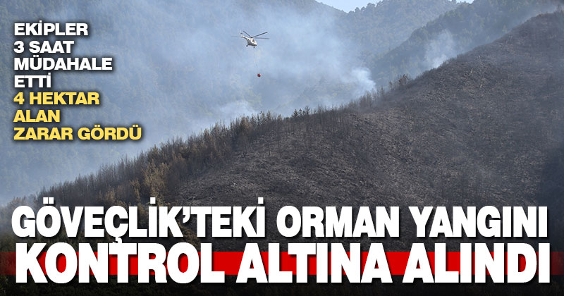 Göveçlik’te çıkan orman yangını kontrol altına alındı