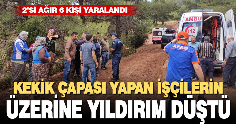 Kekik çapası yapan işçilerin üzerine yıldırım düştü: 2’si ağır 6 yaralı