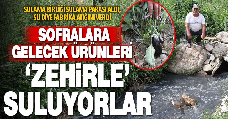 Sulama parası ödeyen çiftçiye fabrika atığı su diye verildi