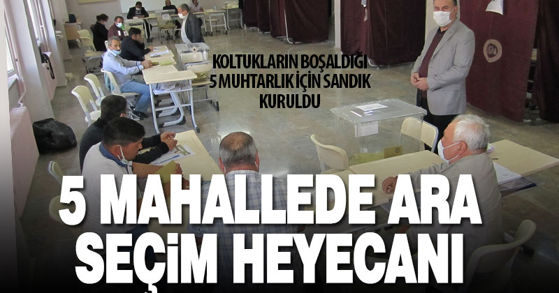 Denizli’de 5 mahallede muhtarlık ara seçimleri yapıldı