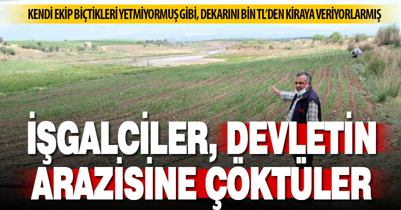 Sular çekilince, istimlak edilen tarlalar uyanıkların insafına kaldı
