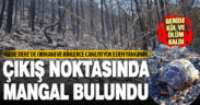 Göveçlik-Altındere arasında 5 hektarlık orman yangınının başlangıç noktasında mangal bulundu