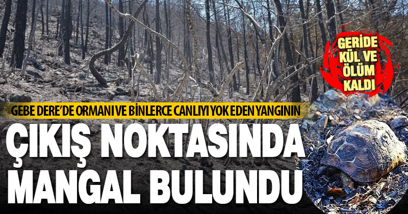 Göveçlik-Altındere arasında 5 hektarlık orman yangınının başlangıç noktasında mangal bulundu