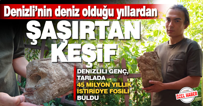 Denizi olmayan Denizli’de 45 milyon yıllık istiridye fosili bulundu