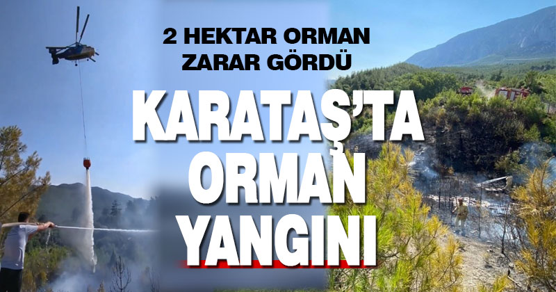 Katataş’ta ormanlık alanda yangın çıktı