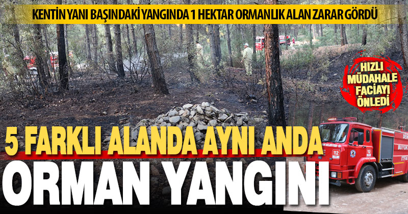 5 farklı yerde birden başlayan orman yangınında 1 hektar orman zarar gördü