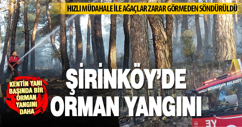 Şirinköy’de başlayan orman yangını, hızlı müdahale ile büyümeden söndürüldü