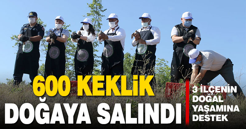 Denizli’de doğaya 600 keklik salındı