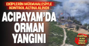 Acıpayam’da orman yangını 