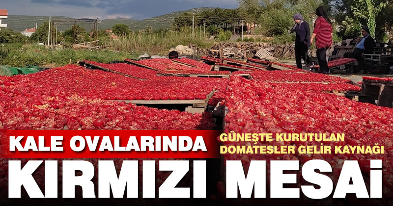 Kale ovalarında “kırmızı” mesaisi başladı