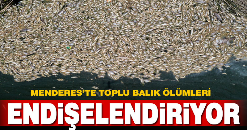 Büyük Menderes Nehri’ndeki toplu balık ölümleri endişelendiriyor