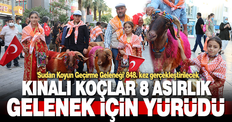 Kınalı koçlar 8 asırlık gelenek için yürüdü