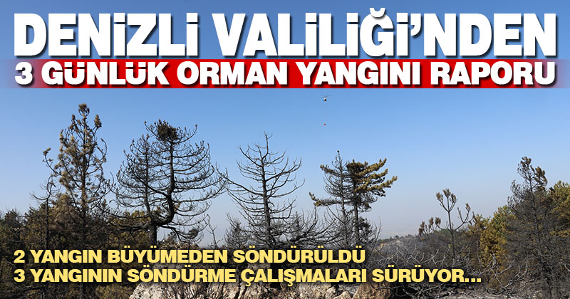 Denizli Valiliği’nden Denizli’deki orman yangınlarının son durumlarıyla ilgili açıklama