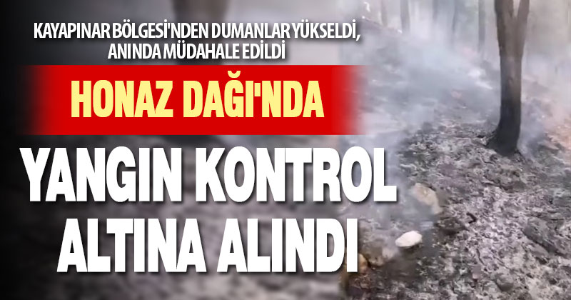Honaz Dağı’ndaki yangın kontrol altına alındı
