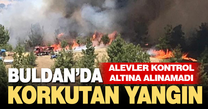 Buldan’da orman yangını çıktı