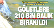 Denizli’deki göllere 210 bin yavru sazan bırakıldı