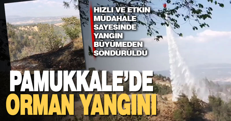 Karşıyaka’da orman yangını. Alevler büyümeden kontrol altına alındı