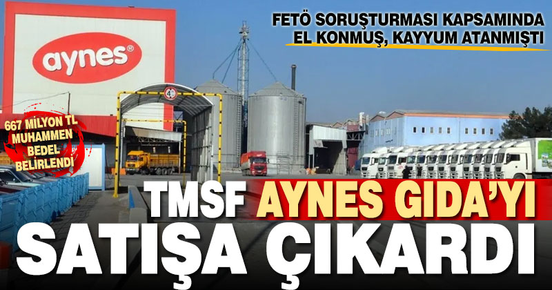 TMSF Aynes Gıda’yı satışa çıkardı