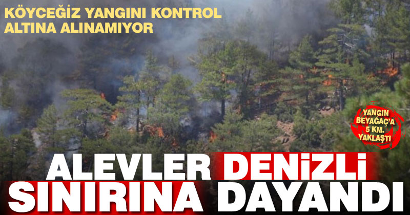 Köyceğiz’de başlayan orman yangını, Denizli sınırına yaklaştı