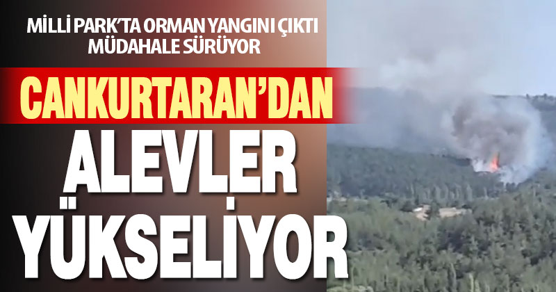 Cankurtaran Milli Parkı’nda orman yangını