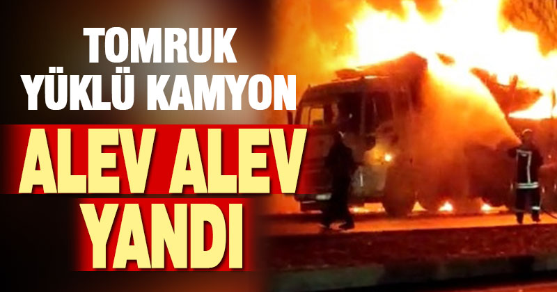 Denizli’de tomruk yüklü kamyon yandı